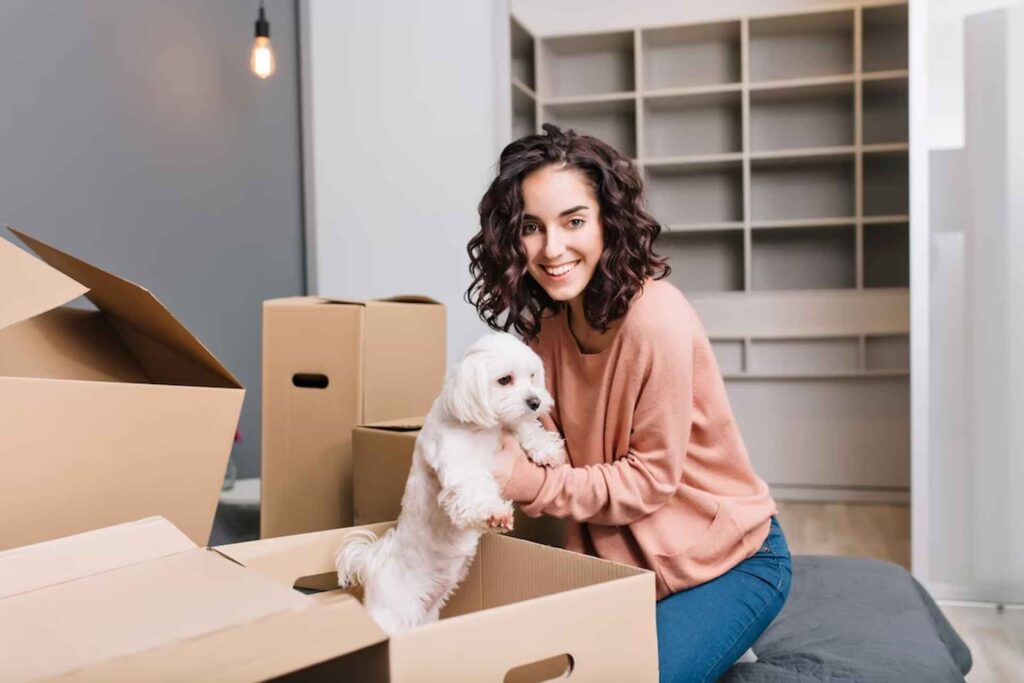 Moving with Pets 6 Must-Have Items to Keep Your Furry Friends Comfortable During Long-Distance Moves